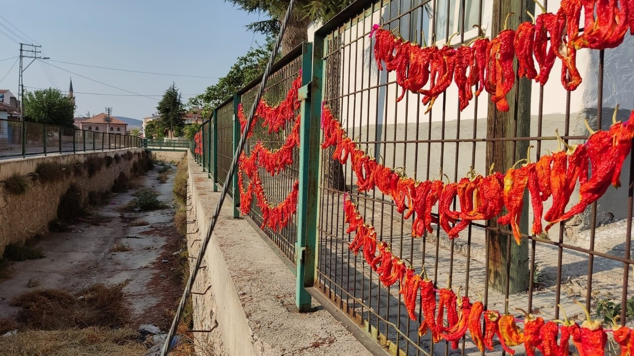 Kış için kurutulan biberler kanal çitlerine asıldı