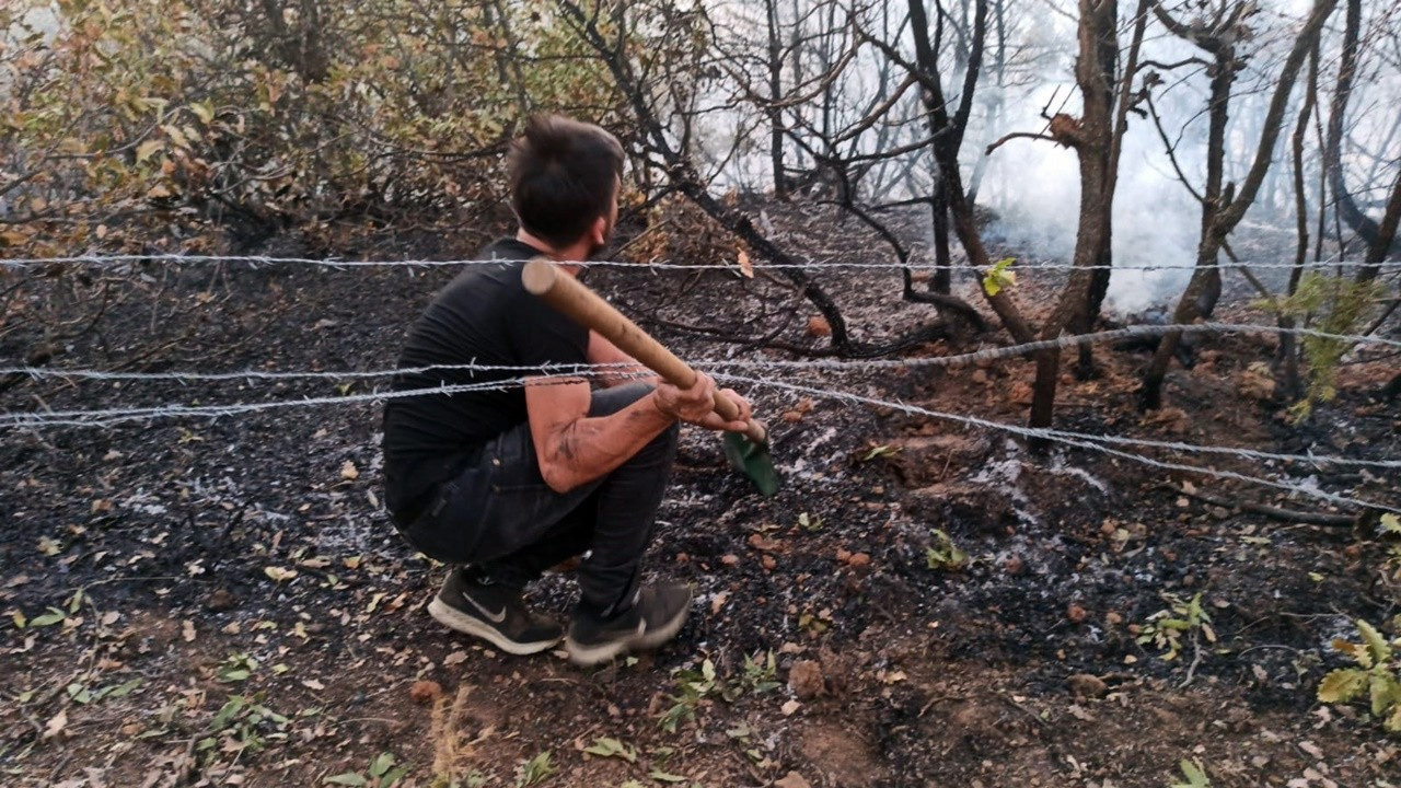 Bingöl’de ağaçlık alanda yangın