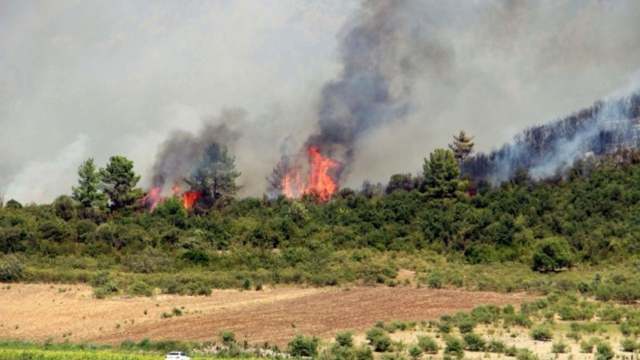 Isparta’daki orman yangını kontrol altına alındı