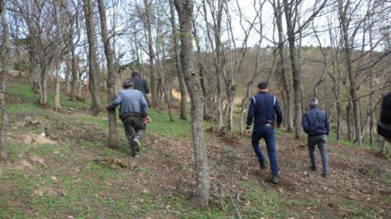 Adana’da ormanda kaybolan minik Günap bulundu