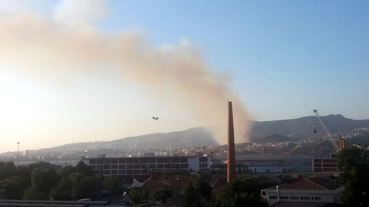 İzmir'de orman yangını