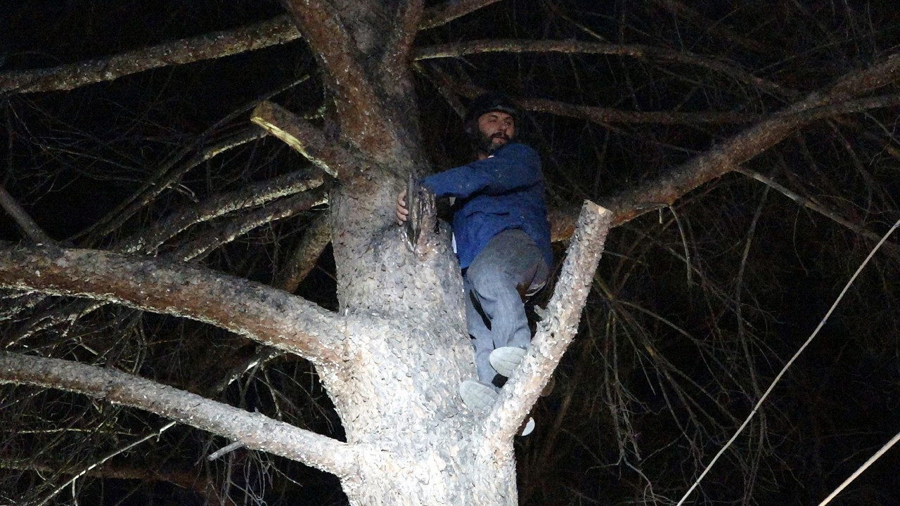 Türbülansa kapılıp, ağaca iniş yapan yamaç paraşütçüsünü itfaiye kurtardı