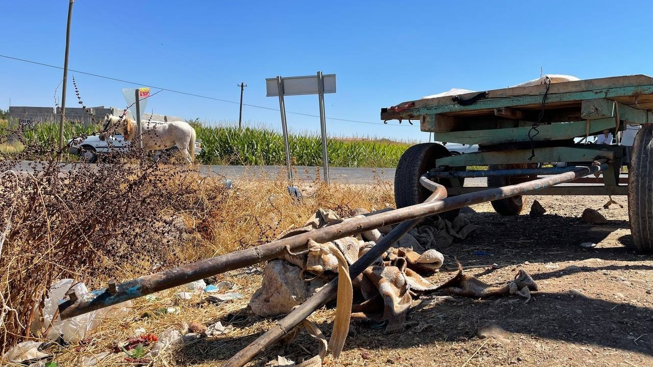 Şanlıurfa'da ilginç kaza; 2 insan, 1 at yaralı