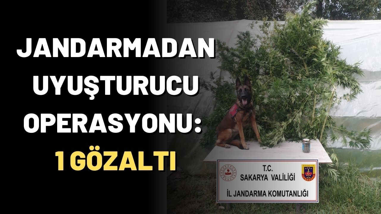 Jandarmadan uyuşturucu operasyonu: 1 gözaltı