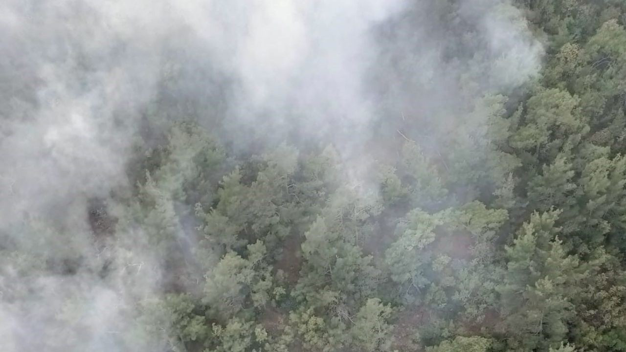 Ormana düşen yıldırım yangına neden oldu