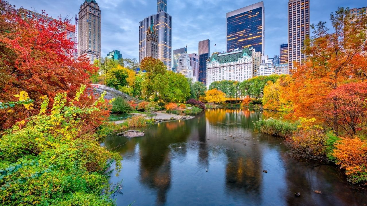 Central Park nerede, nasıl gidilir?