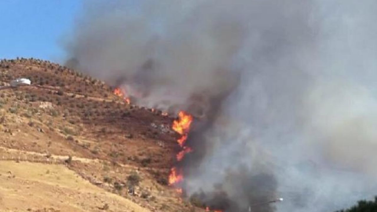 Son dakika İzmir'de makilik yangını