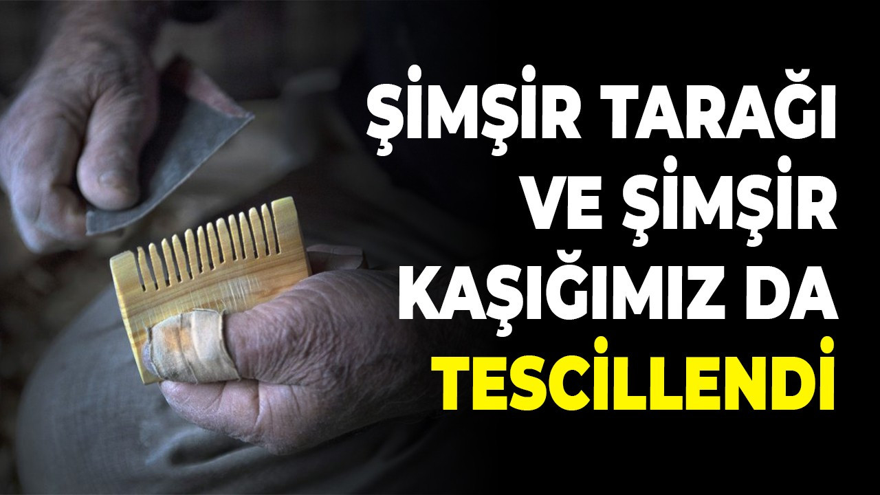 Şimşir Tarağı ve Şimşir Kaşığımız da Tescillendi