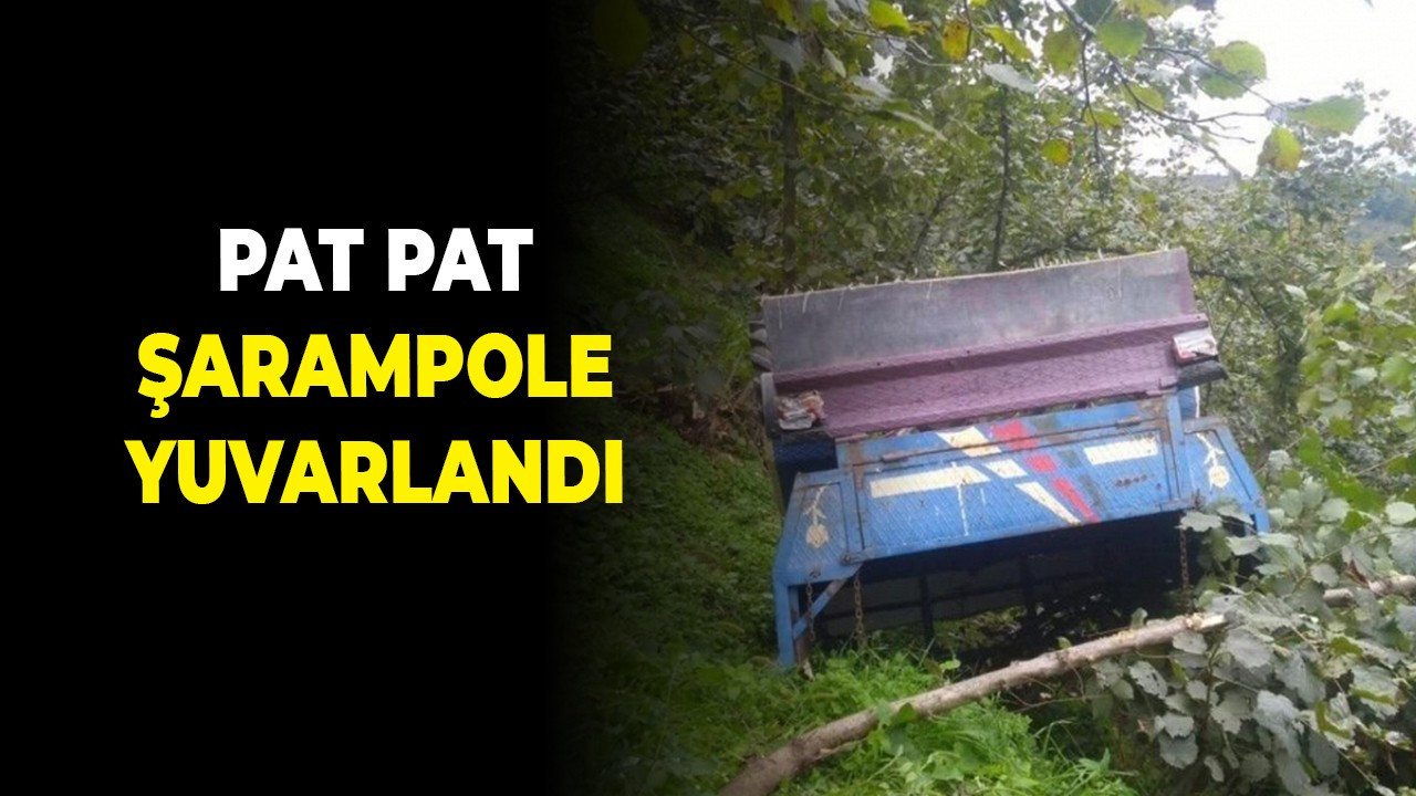 Pat pat şarampole yuvarlandı