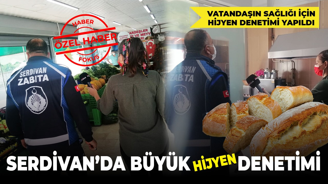 Serdivan’da büyük denetim