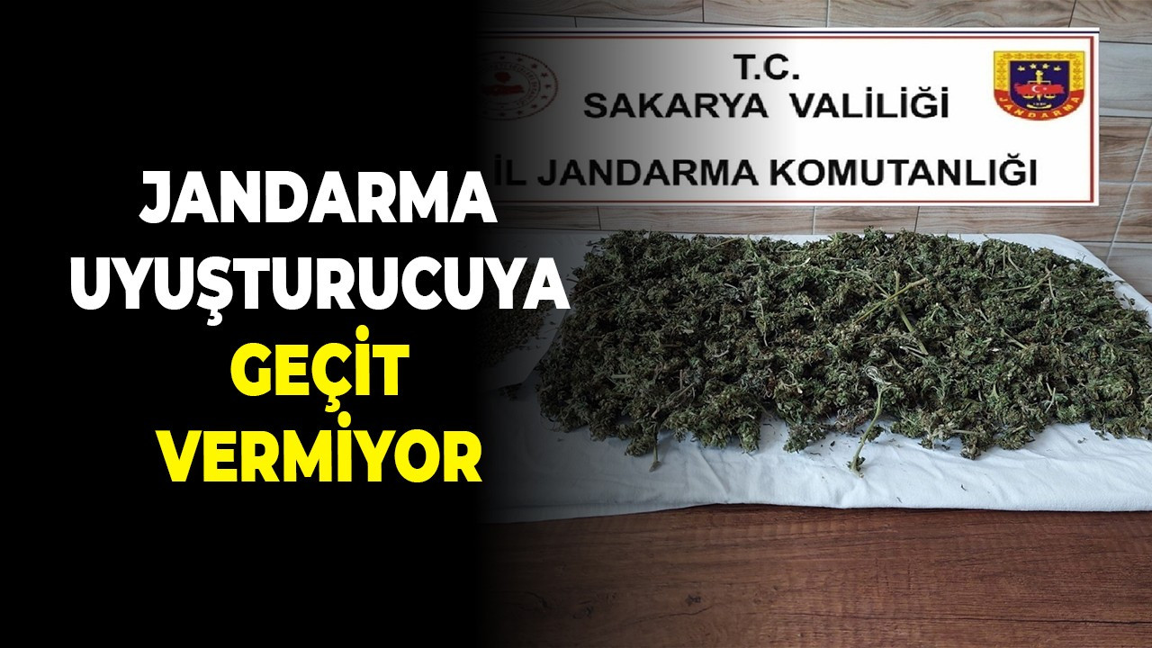 Jandarma uyuşturucuya geçit vermiyor