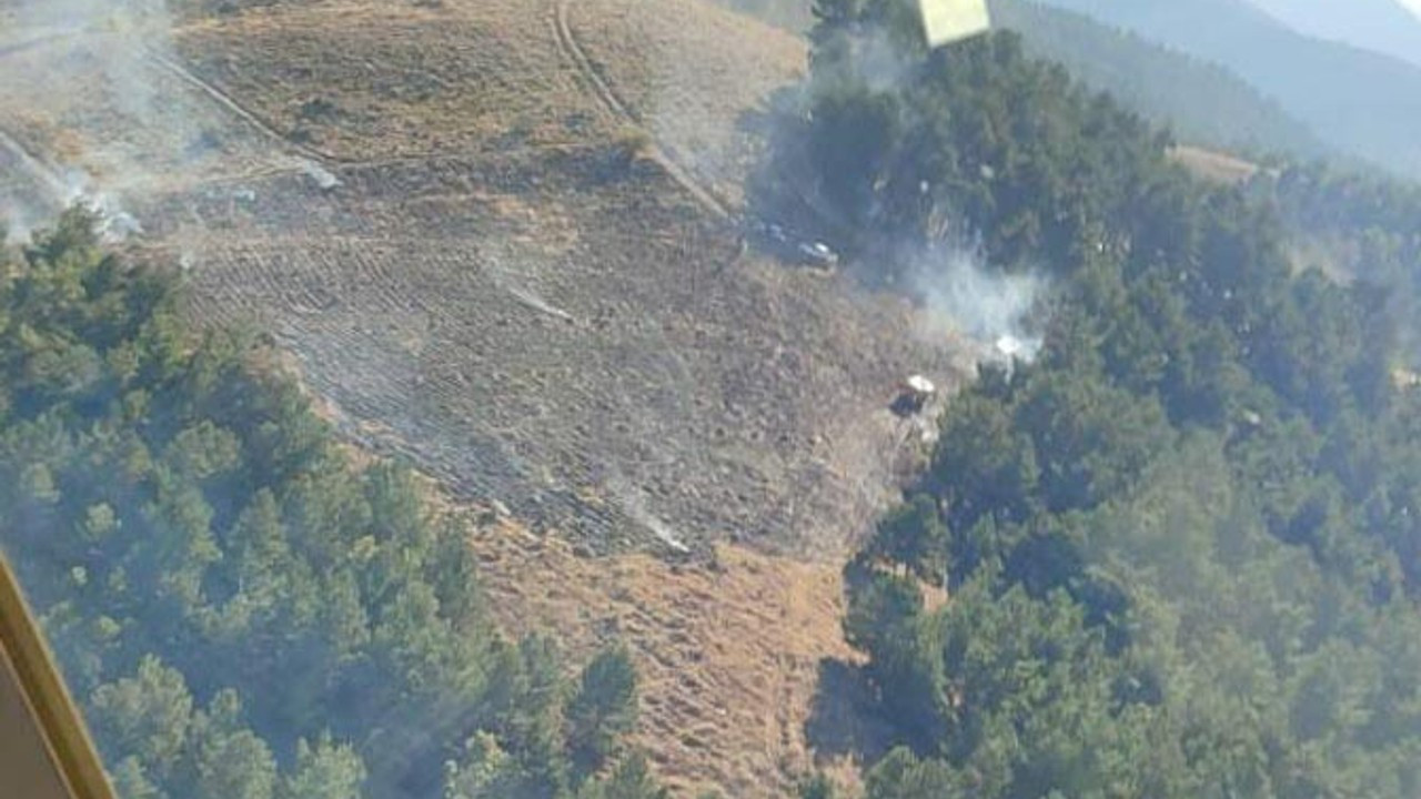 İzmir'de otluktaki yangın ormana sıçradı