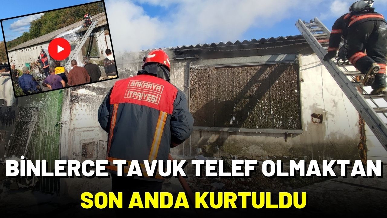 Binlerce tavuğu telef olmaktan itfaiye kurtardı