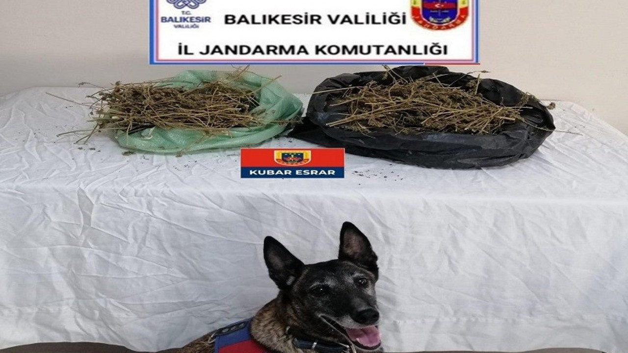 Jandarma 23 kilo esrar ele geçirdi