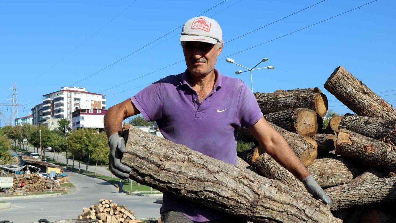 Büyük fabrikalar odunu ateşliyor