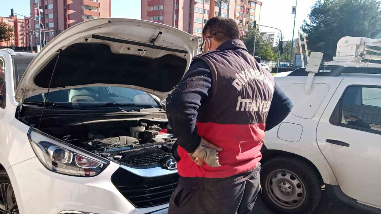 Diyarbakır’da araçta sıkışan kediyi itfaiye kurtardı, Mehmetçik sahiplendi