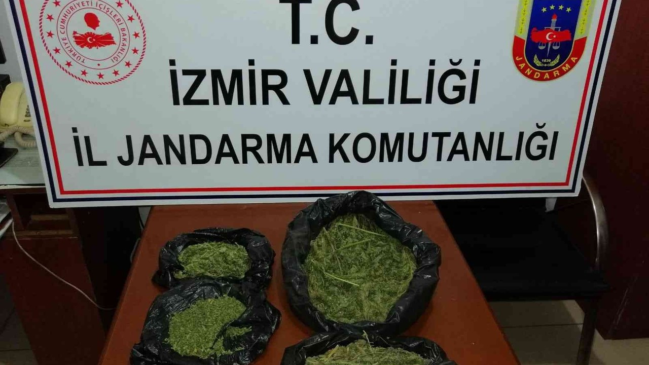 İzmir’de jandarmadan 6 ilçede uyuşturucu operasyonu