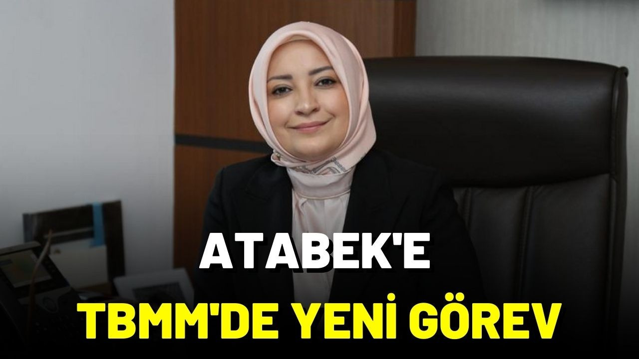 Çiğdem Erdoğan Atabek'e önemli görev