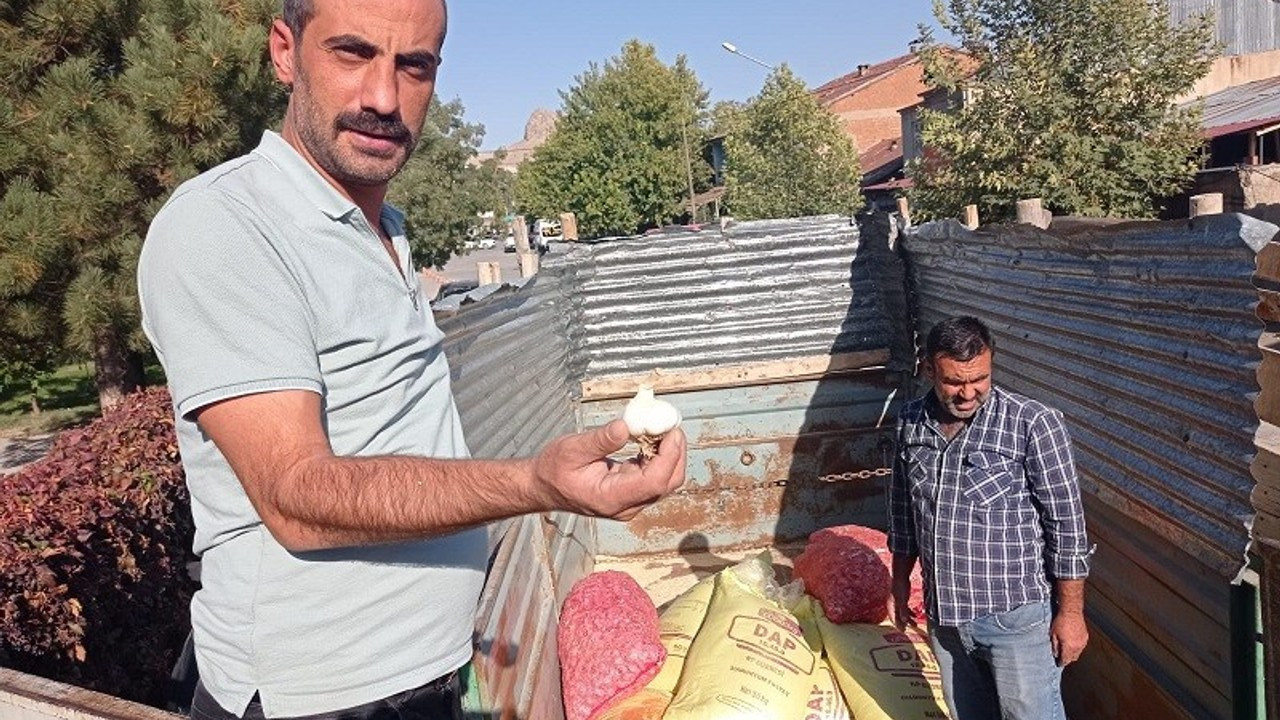 Elazığ’da çiftçilere yüzde 75 hibeli sarımsak tohumu dağıtıldı