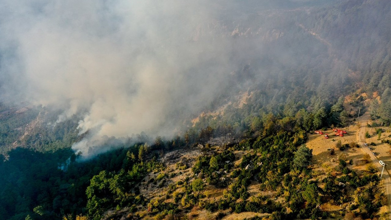 Kemer'deki orman yangını söndürüldü