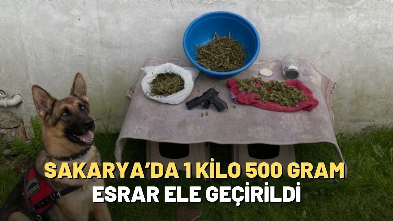 Sakarya’da 1 kilo 500 gram esrar ele geçirildi