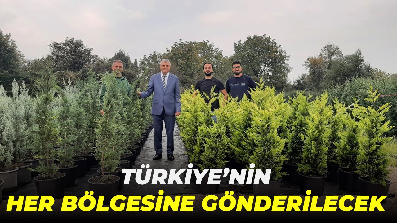 Başkan Yüce: “Sakarya’da üretilen fidanları Türkiye’nin her bölgesine göndermeyi hedefliyoruz”