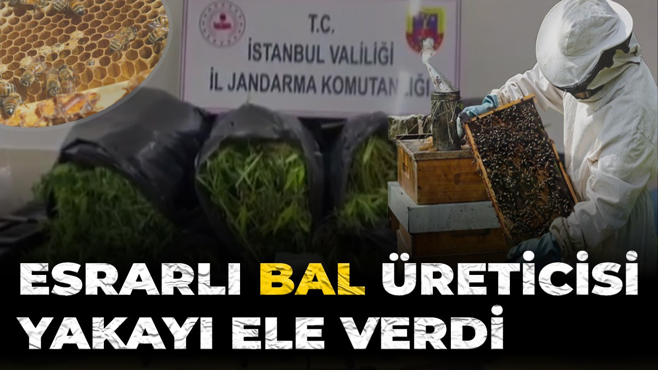 Esrarlı bal üreticisi yakayı ele verdi