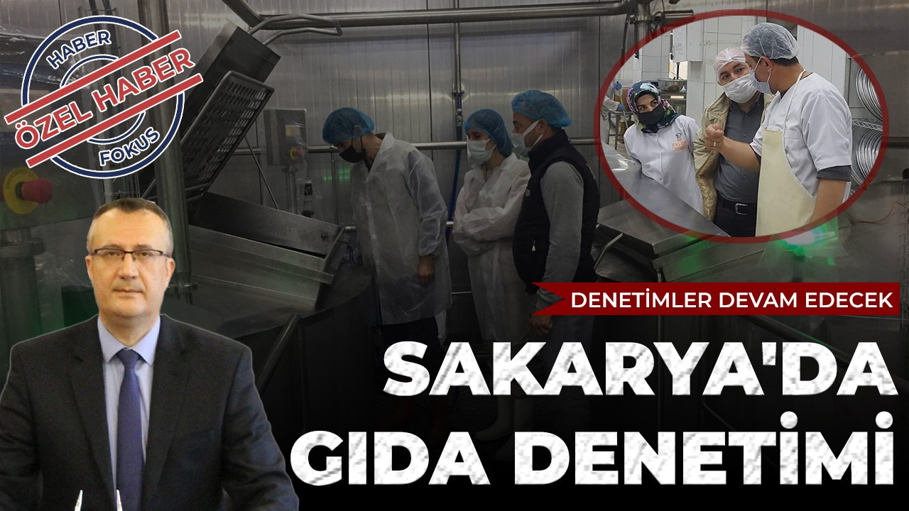 Sakarya'da gıda denetimi