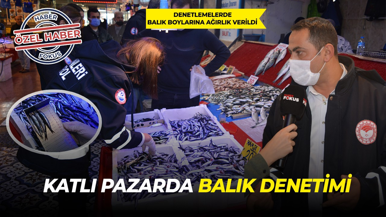 Katlı pazarda balık denetimi