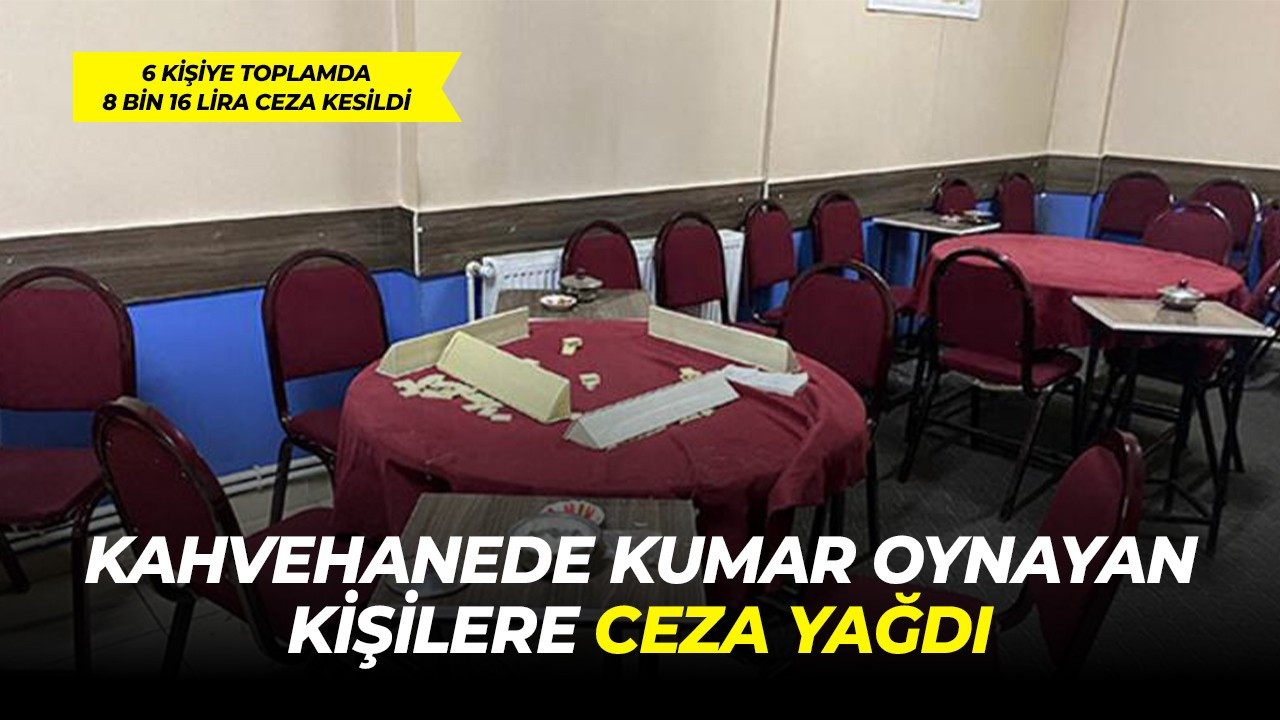 Kahvehanede kumar oynayan kişilere ceza yağdı