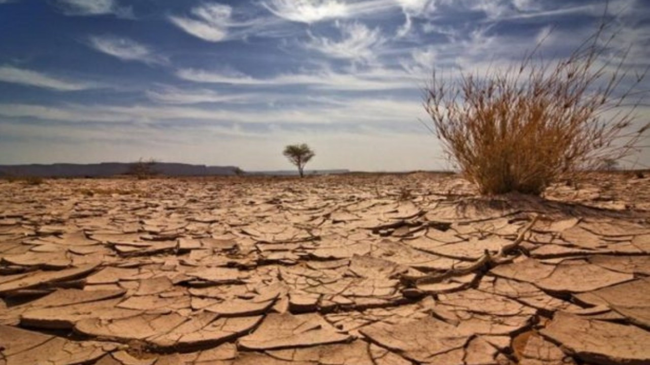 Dünya Meteoroloji Örgütü'nden korkutan rapor: Kayıtlara geçmiş en sıcak 7 yıl olabilir