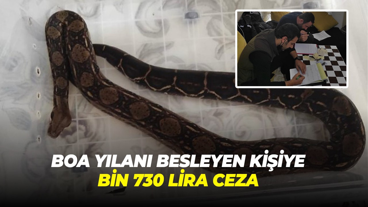 Boa yılanı besleyen kişiye bin 730 lira ceza