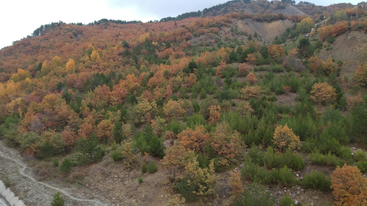 Sinop’ta sonbahar güzelliği