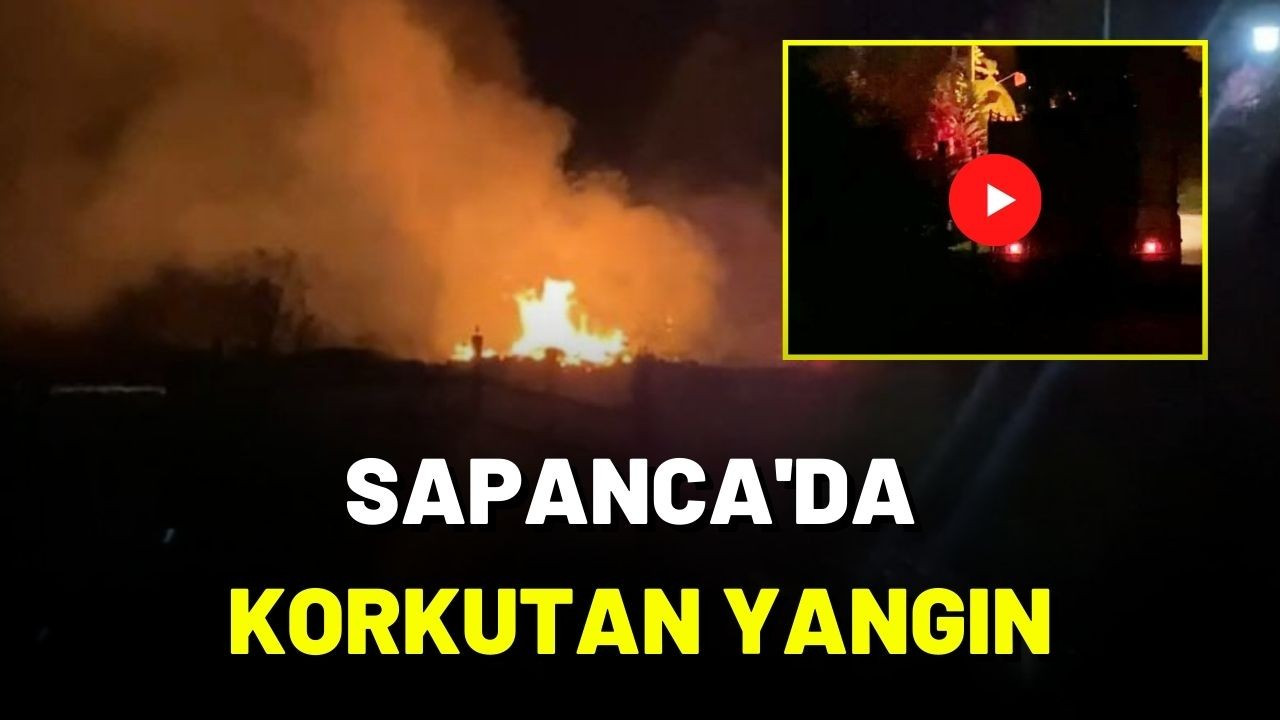 Sapanca'da ağaç yığınlarının bulunduğu alanda korkutan yangın