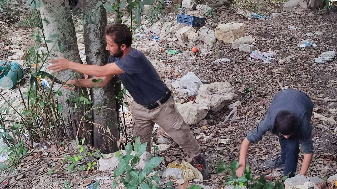 Defne yaprağı Hatay'dan dünyaya ihraç ediliyor