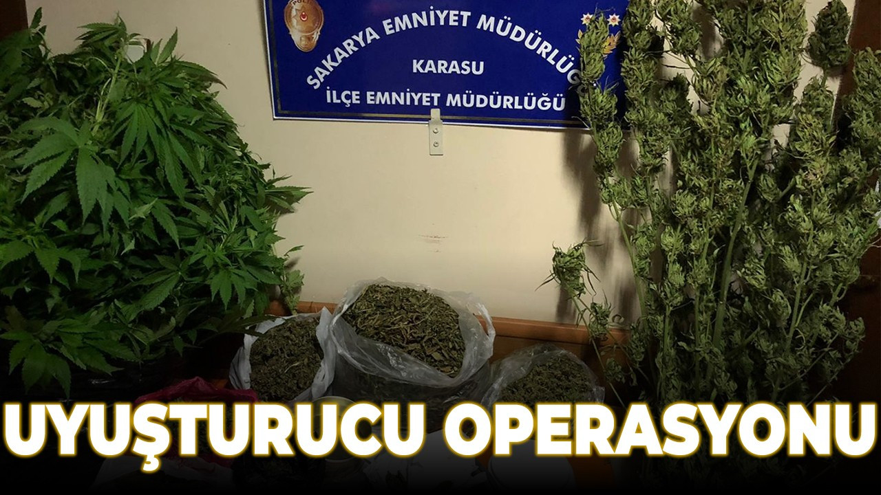 Karasu'da uyuşturucu operasyonu