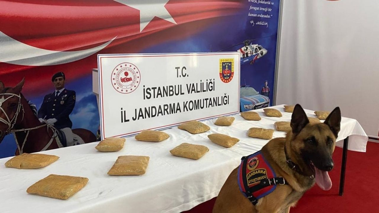 Bal tenekesinde uyuşturucu sevkiyatına jandarma engeli