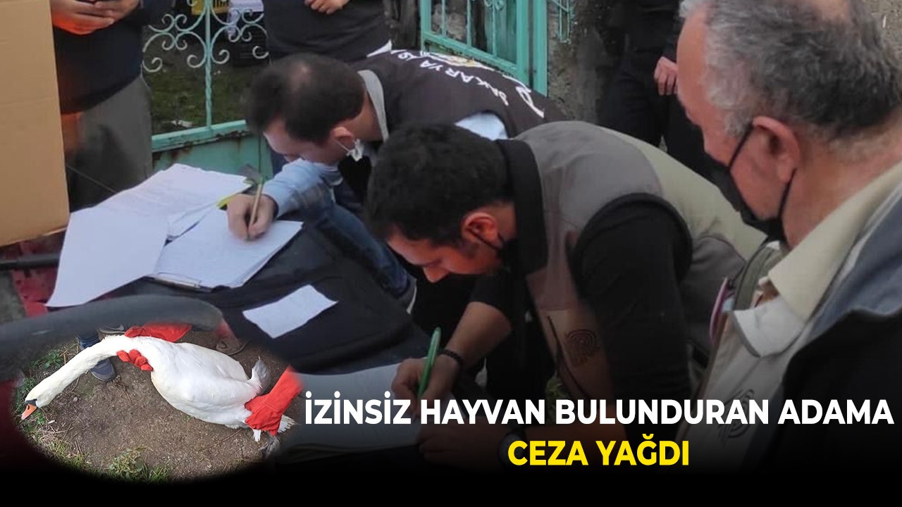 İzinsiz hayvan bulunduran adama ceza yağdı