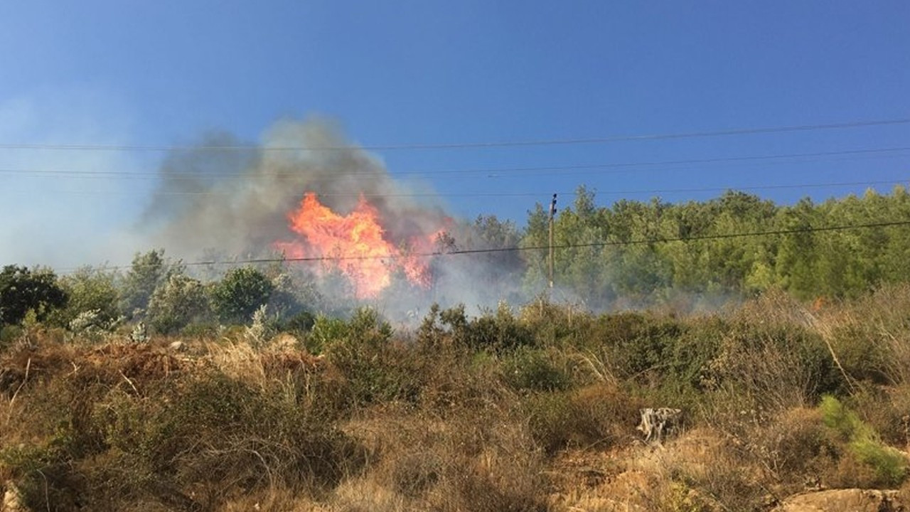 Mersin'de orman yangını!