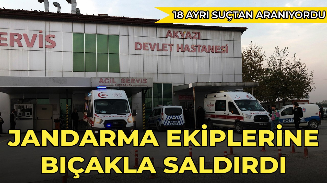 18 ayrı suçtan aranan firari şahıs jandarma ekiplerine bıçakla saldırdı