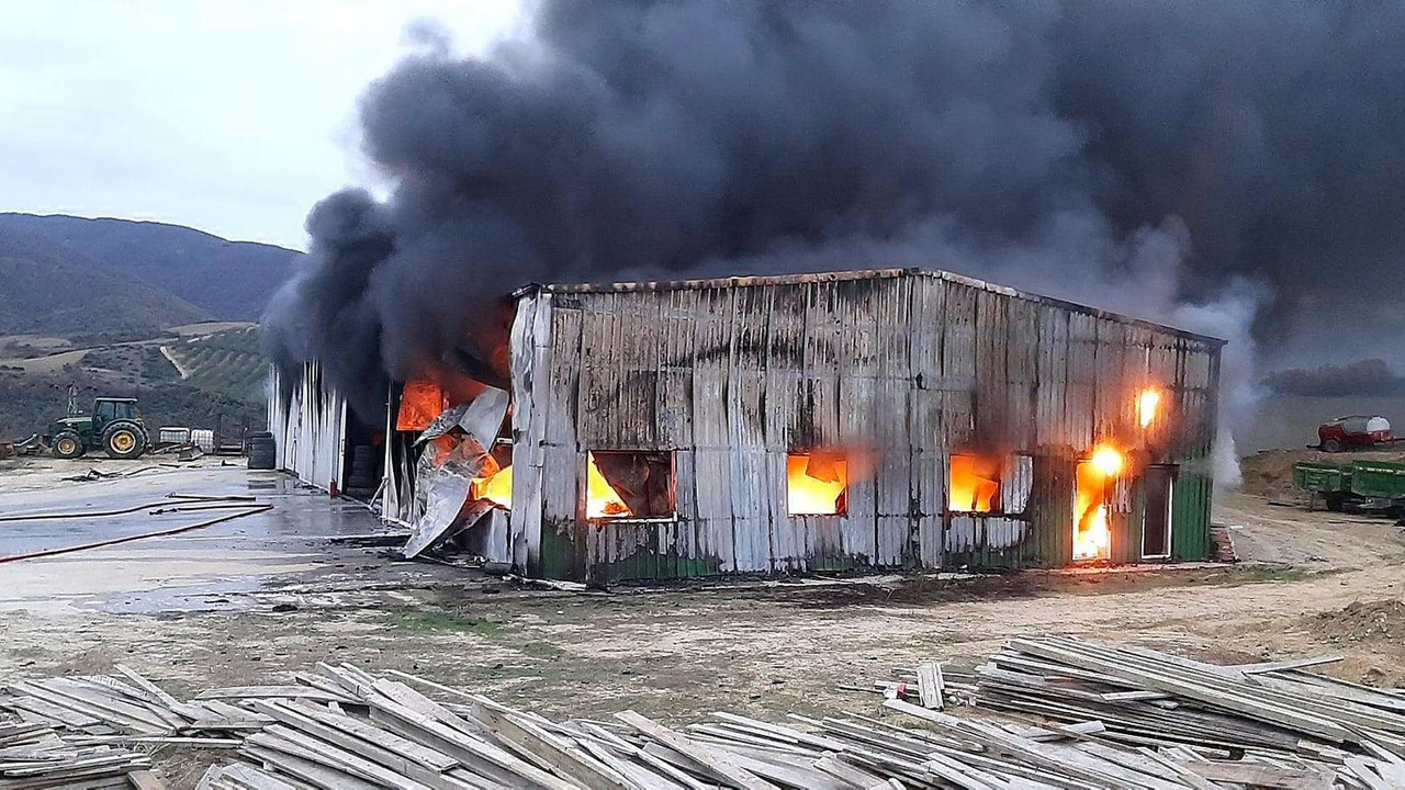 Ceviz işleme tesisinin deposu ve makineler, alev alev yandı