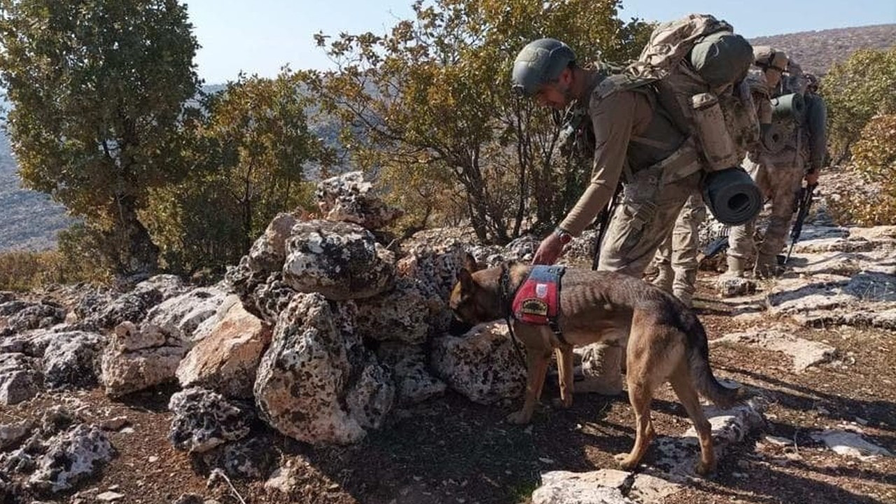 Eren Kış-5 Şehit Jandarma Üsteğmen Ersan Yenici” Operasyonu başladı