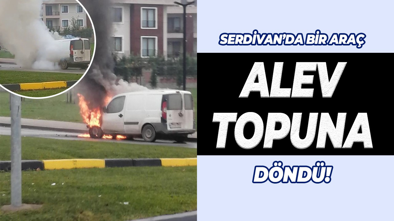 Hafif ticari araç alev topuna döndü