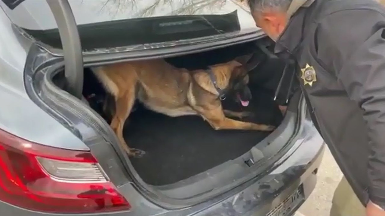 Narkotik köpeği ‘Bella’ tespit etti, polisler ele geçirdi