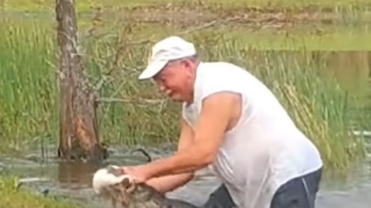 Yavru köpeğini timsahın ağzından kurtardı!