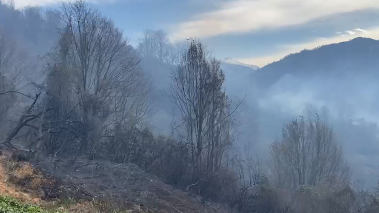 Fındıklı’da orman yangını; alevlerin sıçradığı 2 ev yandı