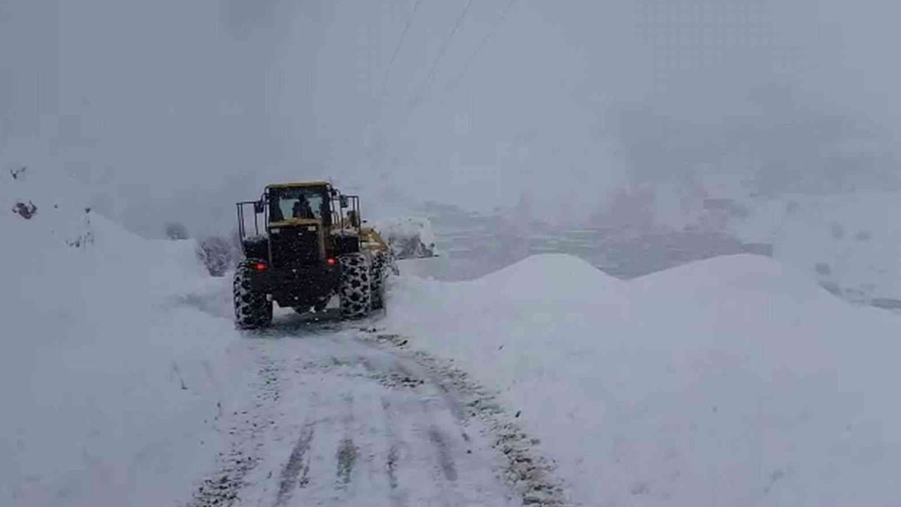 Siirt’te kar yolları kapattı