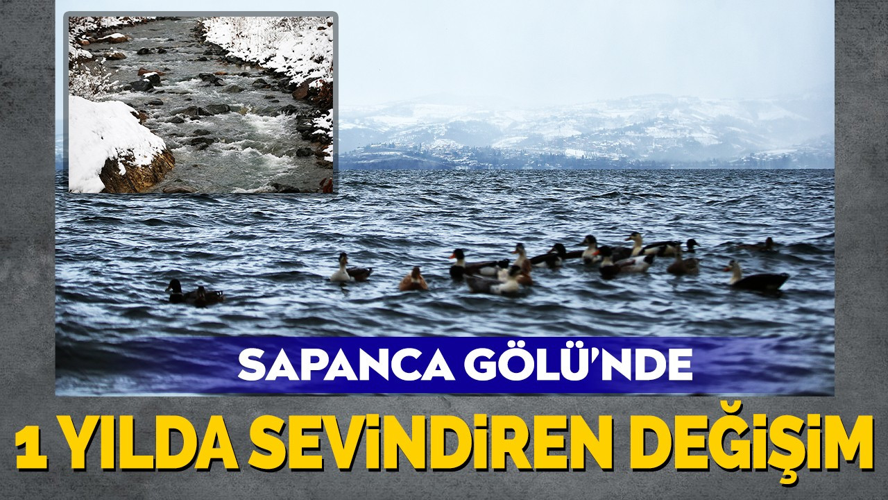 Büyükşehir Sapanca Gölü’nü geleceğe taşıyor