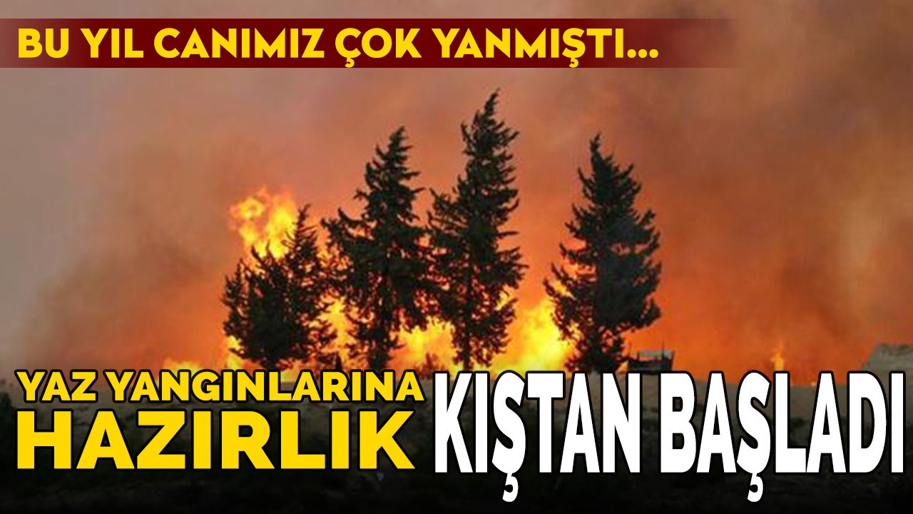 Yaz yangınlarına hazırlık kıştan başladı