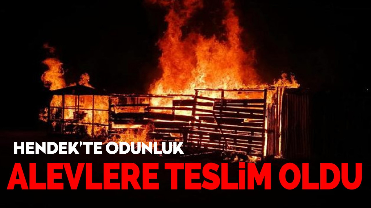 Hendek’te odunluk alevlere teslim oldu